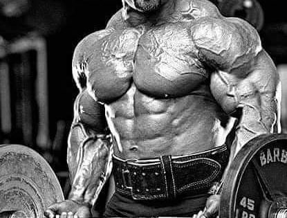 branch warren pro ifbb